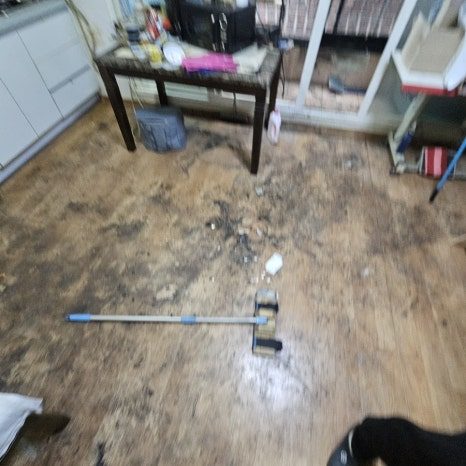 고독사 냄새, 표면 청소로 안 빠지는 이유